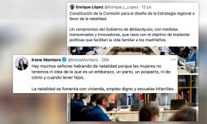 "Más canas que en la jaula de Copito de Nieve": críticas a la Comisión de Madrid para la natalidad, con 17 hombres y cinco mujeres