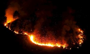 Incendio forestal declarado este lunes en la zona de Ribas de Sil, en Lugo.