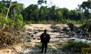 Pahnin Mekragnotire, un indígena de 40 años de la tribu Kayapo, observa loslos efectos de la deforestación en el suroeste del estado de Pará, Brasil.