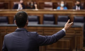 El presidente del Gobierno, Pedro Sánchez, interviene en la sesión de control en el Congreso de los Diputados. E.P./Eduardo Parra