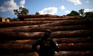 Un soldado del ejército de Brasil observa una pila de troncos talados en la Amazonía.