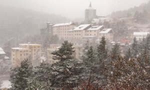 Árboles cubiertos de nieve en el Puerto de Navacerrada, a 22 de noviembre de 2021, en Madrid, (España).