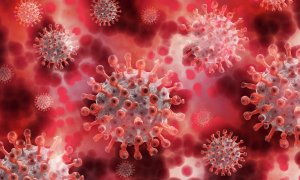 "Omicrón", la nueva variante sudafricana del coronavirus