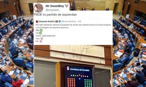 "Imagina creer en 2021 que el PSOE es de izquierdas": críticas a los socialistas por abstenerse a la retirada de subvenciones a la tauromaquia en Madrid