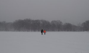 Dos personas se dan la mano mientras cruzan 'Sheep Meadow' cubierto de nieve, en Central Park en Nueva York