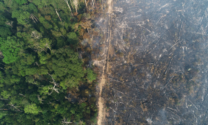 11/02/2022. Vista aérea de la quema forestal en el Amazonas.