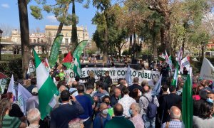 La manifestación del 28F en Sevilla: Andalucía se construye con lo público.