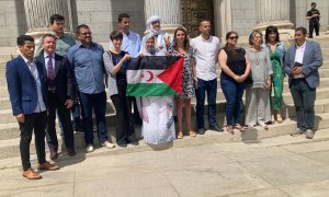 Diferentes diputados del intergrupo sobre el Sáhara, a las puertas del Congreso este miércoles tras un encuentro con la activista saharaui Sultana Jaya.