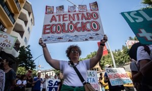 Una mujer sostiene una pancarta en la manifestación ecologista de Tenerife de este sábado