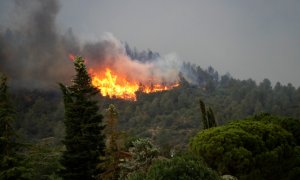 15/06/2022 - Flames a l'incendi de Baldomar, a Artesa de Segre.