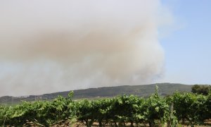 18/06/2022 - Columna de fum a Olivella, al Garraf.