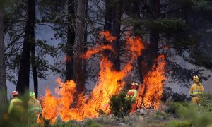 Los bomberos trabajan para extinguir el incendio forestal de la Sierra de la Culebra, en Zamora.