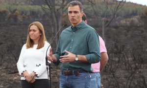 Pedro Sánchez interviene durante su visita a las zonas afectadas por el incendio forestal declarado el pasado 15 de junio en la Sierra de la Culebra (Zamora).