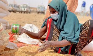 Una mujer recolecta granos en un campamento para personas desplazadas en Adadle en la región somalí de Etiopía.