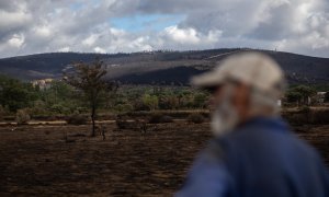 Un hombre mira el estado de la zona de Cabañas de Aliste tras el incendio sofocado hace dos días e iniciado el pasado día 15 en la Sierra de la Culebra, a 21 de junio de 2022, en Cabañas de Aliste, Zamora.