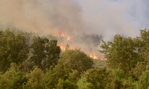 Llamas del incendio de Monsagro que los vientos cambiantes y el fuerte calor mantienen activo y dificultan su estabilización, este viernes en Salamanca. Dos nuevos focos han obligado esta mañana a desalojar a los en torno 400 vecinos de los municipios de