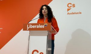 La Consejera de Igualdad del Gobierno de Andalucía.