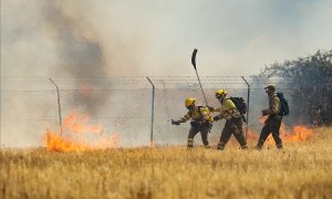 Bomberos de las Brigadas de Refuerzo en Incendios Forestales (BRIF) combaten un incendio en un campo de trigo en Tábara, Zamora , en la segunda ola de calor del año, en España, el 18 de julio de 2022.