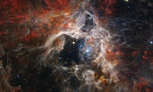 La poderosa visión en el espectro infrarrojo del telescopio espacial James Webb ha descubierto miles de estrellas en formación en la nebulosa de la Tarántula que hasta ahora no habían sido detectadas.