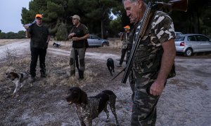 Varios cazadores junto a sus perros en Olmedo, en Castilla y León.