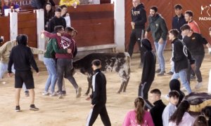 'After hours' taurino con dinero público: jóvenes ebrios maltratan becerros a ritmo de DJ en las fiestas de Brihuega