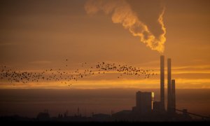 Pájaros volando mientras sale el sol sobre la central eléctrica a carbón de la multinacional francesa de servicios eléctricos EDF en Cordemais Lavau-sur-Loire, en el oeste de Francia.