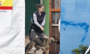 Una agente de la Unidad Operativa de la Guardia Civil busque con ayuda de una perro pistas de los temporeros desaparecidos en Villacarrillo, Jaén.