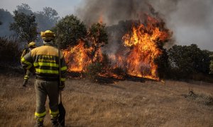 Varios bomberos trabajan en la extinción del fuego del incendio de Pumarejo de Tera, Zamora, durante el verano de 2022.