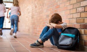 Psicoecología: Bullying y medio ambiente