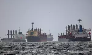 Barcos que cargan granos ucranianos esperan la inspección negociada por las Naciones Unidas y Turquía en el Mar Negro