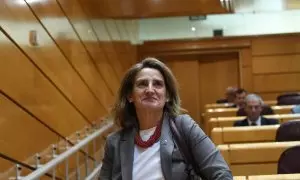 La vicepresidenta tercera y ministra para la Transición Ecológica y el Reto Demográfico, Teresa Ribera, durante una sesión de control al Gobierno en el Senado, a 7 de marzo de 2023, en Madrid (España).