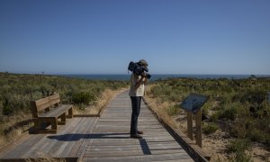 Nueva pasarela de Cuesta Maneli en el Espacio Natural de Doñana. (Almonte, Huelva, Andalucía, España), a 09 de junio de 2020.