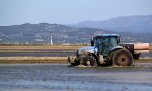 9-5-2023 Un tractor sembra arròs en uns camps davant del fas del Fangar del Delta