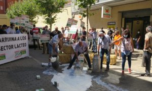 Unión de Uniones se concentrará en Cantabria la próxima semana para reclamar precios justos para la leche