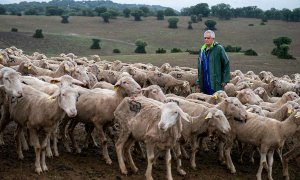 Uno de los ganaderos trashumantes bloqueados en Ciudad Real por la viruela ovina.