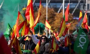 Seguidores de Vox en una protesta contra el Gobierno en Madrid, el 27 de noviembre de 2022.