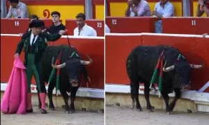 La cruel muerte de un toro en San Fermín reaviva las críticas a la tauromaquia: "Esto es una barbarie"