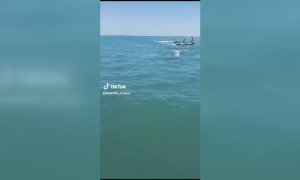 Una orca sorprende a los bañistas de una playa de Huelva