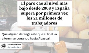 "Rajoy soñaba con 20 millones de trabajadores. Un perro y una comunista han logrado 21 millones"