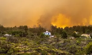 LLamas cerca de una vivienda en el incendio forestal declarado en la Palma, a 15 de julio de 2023, en Puntagorda, La Palma,