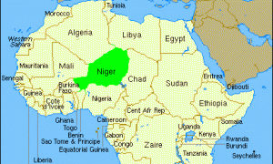 Punto y seguido - 16 notas sobre el Golpe de estado de Níger y los tres planes de EEUU