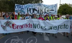 Manifestantes del las organizaciones integrantes de la llamada 'Cumbre Social de Granada' contra las políticas de la Unión Europea.