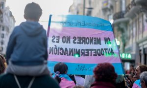 Decenas de personas durante la manifestación Octubre Trans, a 21 de octubre de 2023, en Madrid. - Europa Press