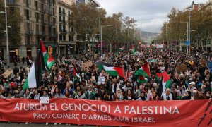 Milers de manifestants donen suport al Poble Palestí.