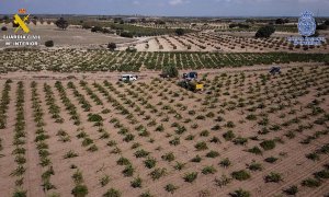 Seis detenidos en Albacete por explotación laboral a migrantes en situación irregular con jornadas de hasta doce horas
