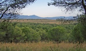 Ecologismo de emergencia - Preservar el Llano de Matagallar, el único proyecto sostenible para este tesoro natural