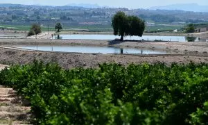 Una fotografía tomada el 15 de junio de 2023 muestra la laguna que almacena agua para regar los campos cultivados en la zona de Campos del Río, cerca de Murcia, sur de España.