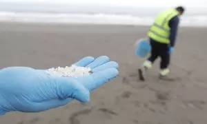 Un operario de TRAGSA coge con la mano pellets de plástico, en la. playa Otur, a 9 de enero de 2024