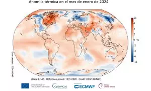 Anomalía térmica en el mes de enero de 2024.