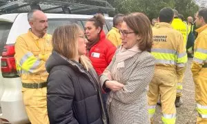 El Gobierno aprobará la próxima semana el nuevo estatuto de bomberos forestales